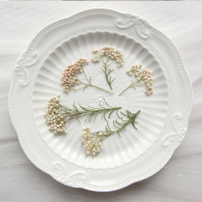 Dried Flower Bookmark - 12pcs, Ranting Bunga Millet Alami, Bunga