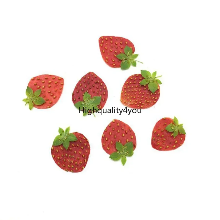 10 buah buah kering kering bua - Dried Flower Bookmark ulasan dan harga